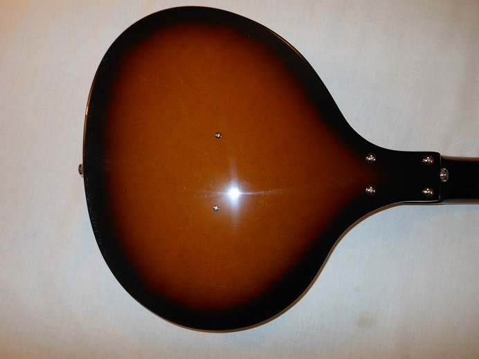 Baby Sitar Picture 9